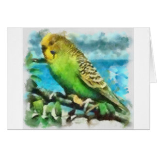 島のインコ