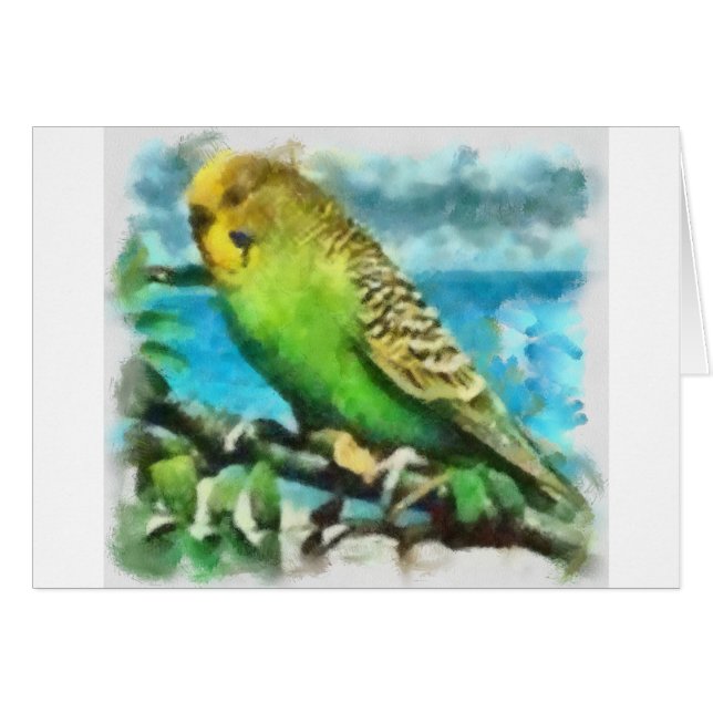島のインコ (正面横)