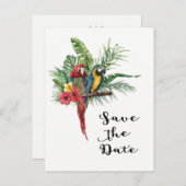 島の楽園の鳥たち トロピカル セーブ・ザ・デート 案内ポストカード (正面/裏面)