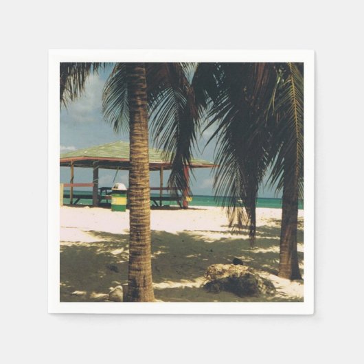 島の風景が広がるカクテルナプキン スタンダードカクテルナプキン (正面)