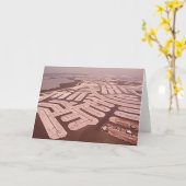 島の、Marcoの島浚渫、フロリダの70年代 カード (黄色い花)