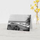 島の、Marco Island浚渫、フロリダ1972年 カード (黄色い花)