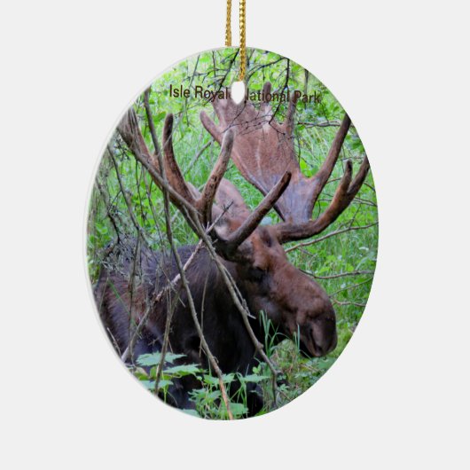 島のRoyaleの国立公園のオーナメント セラミックオーナメント (右)