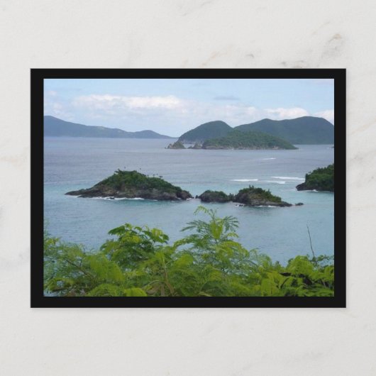 島グループ ポストカード (正面)