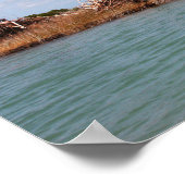 島植生1 ポスター (角)