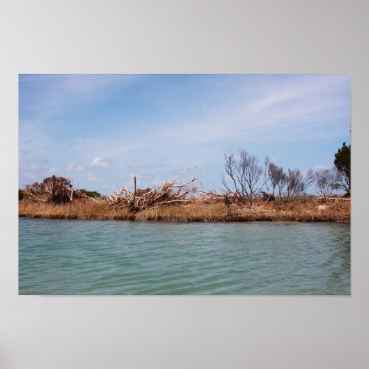 島植生1 ポスター (正面)