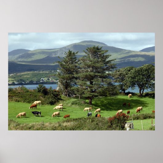 島牧草地のポスター ポスター (正面)