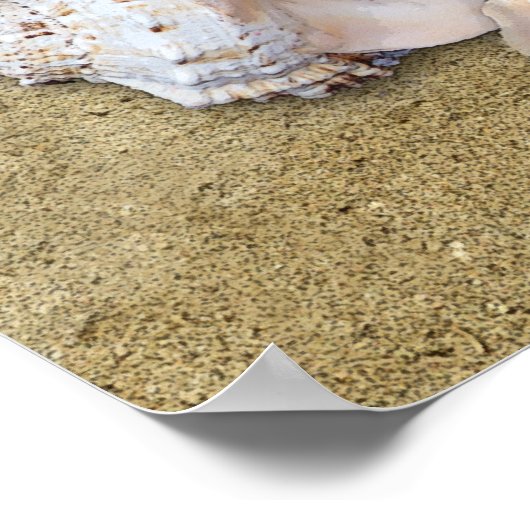 島生活 ポスター (角)