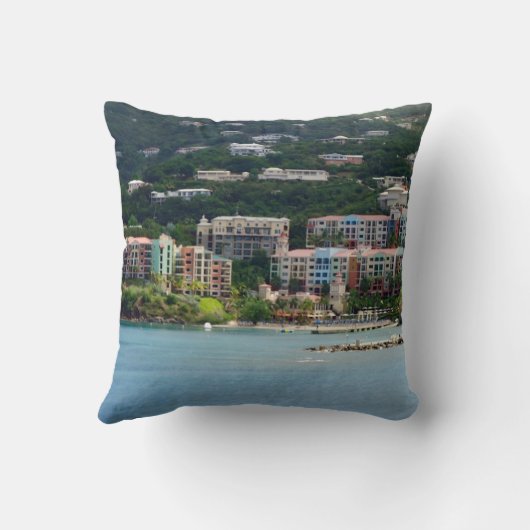 島色 クッション (裏面)