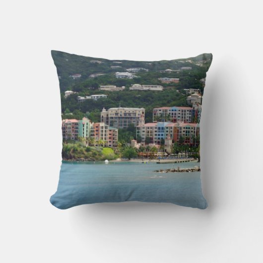 島色 クッション (正面)