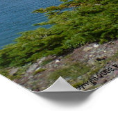 島 ポスター (角)