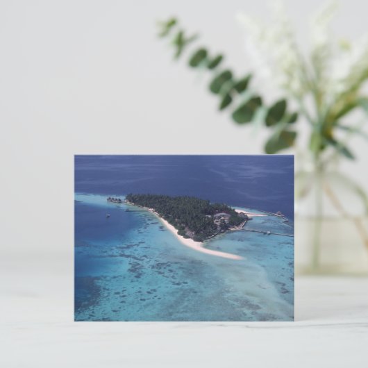 島 ポストカード (スタンド正面)