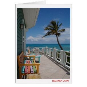島Livin