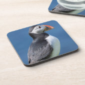 崖に立つニシツバメウミスズメ (Fratercula Arctica) コースター (左側)
