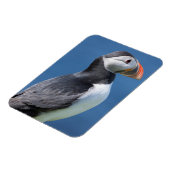 崖に立つニシツブクロウ(Fratercula Arctica) マグネット (左側)