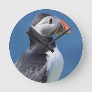崖のニシツノメドリ(Fratercula Arctica) ラウンド壁時計