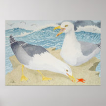 崖の上で休んでいるカモメ