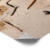 崖の上のビーチコマースでDungeness Wilderness ポスター (角)