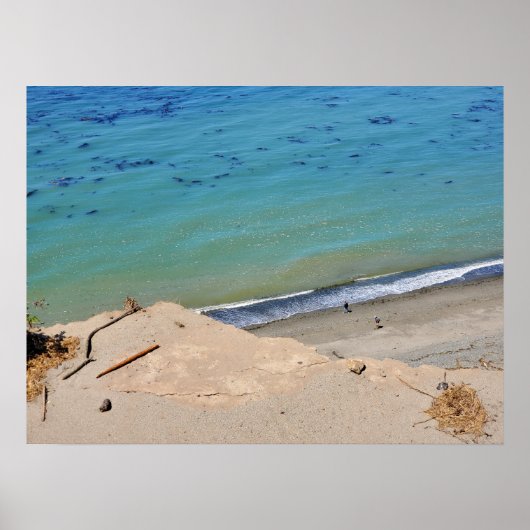 崖の上のビーチコマースでDungeness Wilderness ポスター (正面)