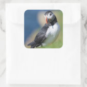 崖の上の大西洋のパフィン(Fratercula Arctica) 2 スクエアシール (バッグ)