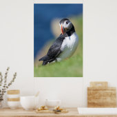 崖の上の大西洋のパフィン(Fratercula Arctica) 2 ポスター (キッチン)
