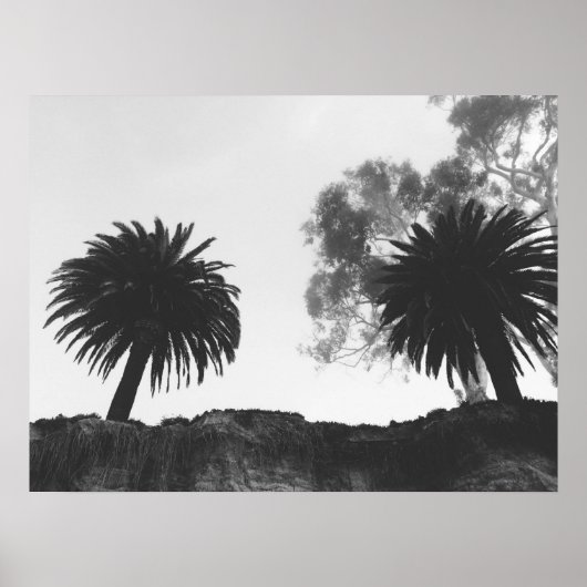 崖の上の白と黒のヤシの木 ポスター (正面)