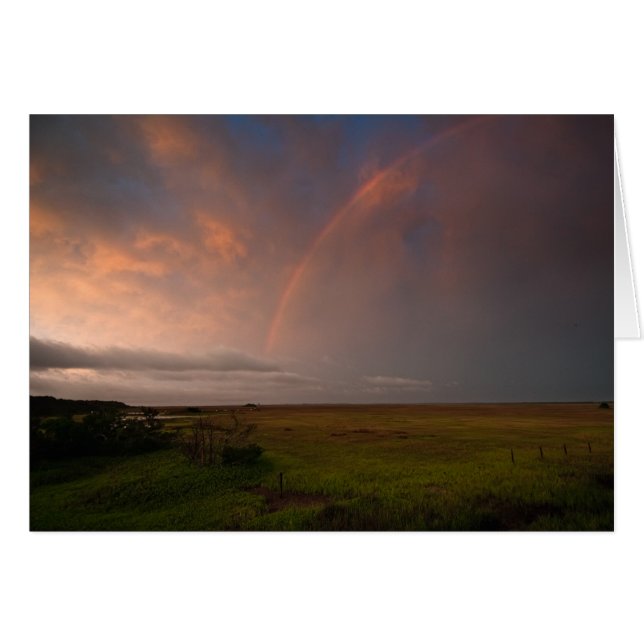 嵐および弓 (正面横)