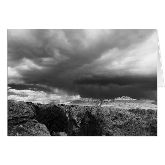 嵐が入り、デミング、NM (正面横)