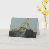 嵐で破損した穀物ビン カード (黄色い花)