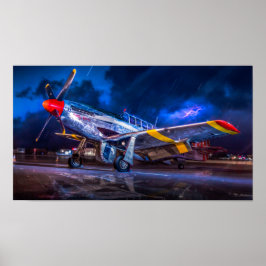 嵐で飛べない ポスター