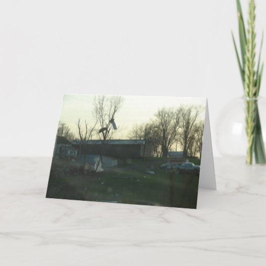 嵐による被害 カード (正面)