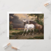 嵐に怯えた馬（カーレ・バーネット） カード (正面/裏面インサイチュ)