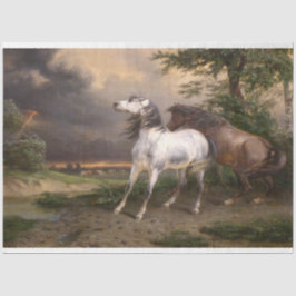 嵐に怯えた馬（カーレ・バーネット） 薄葉紙