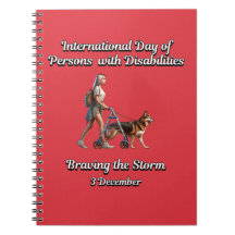 嵐に打ち勝つこと。障害者
