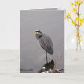 嵐に直面している鷲 カード (黄色い花)