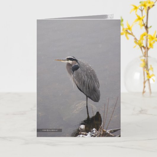 嵐に直面している鷲 カード (黄色い花)