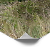 嵐のビーチシーン ポスター (角)