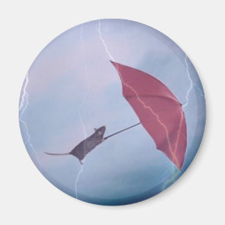 嵐のマグネットのネズミ マグネット