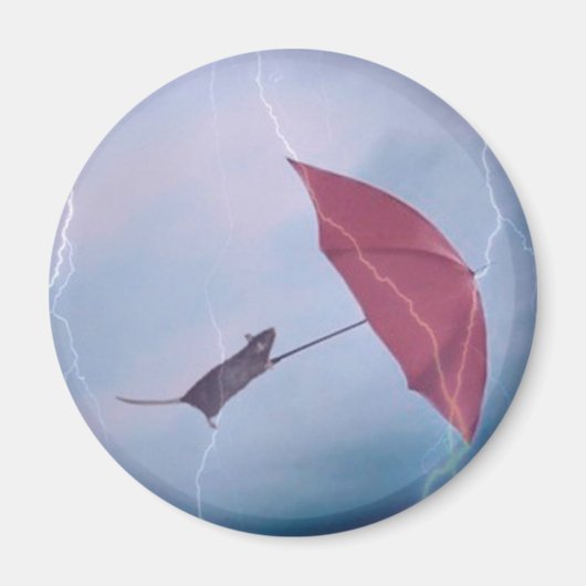 嵐のマグネットのネズミ マグネット (正面)