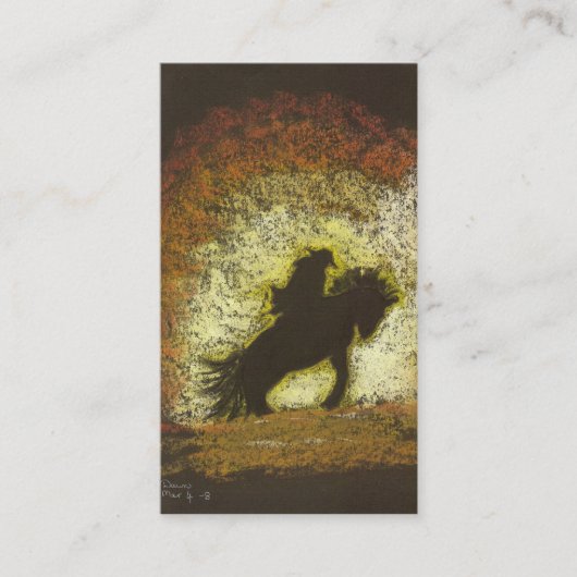 嵐のライダー 名刺 (正面)