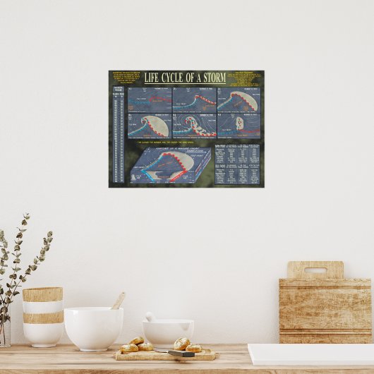 嵐のライフサイクル ポスター (キッチン)