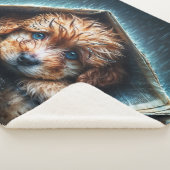 嵐の中で心温まる湿った犬 シェルパブランケット (3/4)