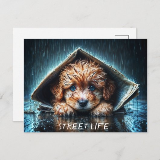 嵐の中で心温まる湿った犬 ポストカード (正面/裏面)