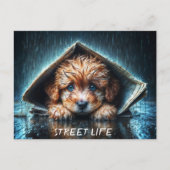 嵐の中で心温まる湿った犬 ポストカード (正面)