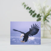 嵐の中で翼を広げて着陸するハゲワシ ポストカード (スタンド正面)