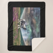 嵐の中のジプシー・ヴァンナーの馬 シェルパブランケット (正面)