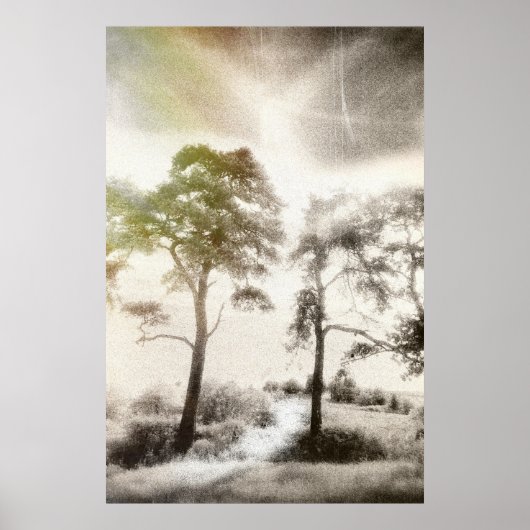 嵐の前の平和 ポスター (正面)