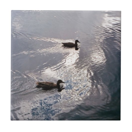 嵐の前の穏やかなアヒル タイル (正面)