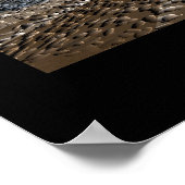 嵐の収集家 ポスター (角)