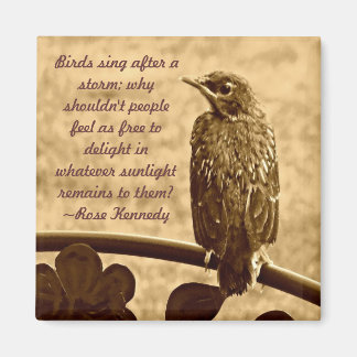 嵐の後で歌う マグネット